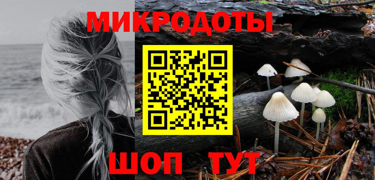 Кушва  Псилоцибиновые грибы MAGIC MUSHROOMS  Вход с VPN 